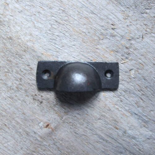 Petite coquille Naturel