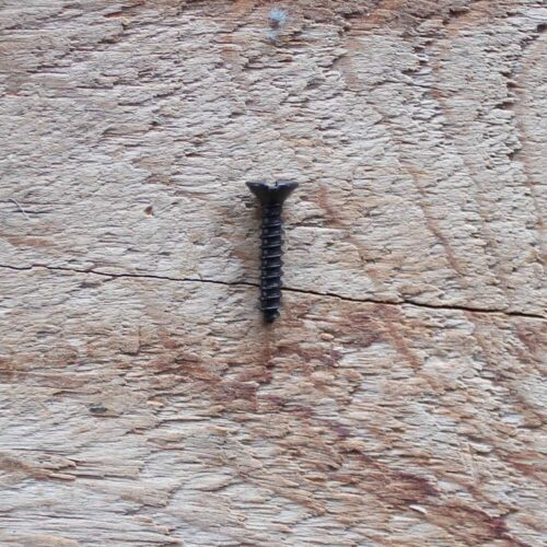 Vis fendues #6 x 3/4" (100)