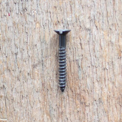 Vis fendues #8x1"1/4 (10)